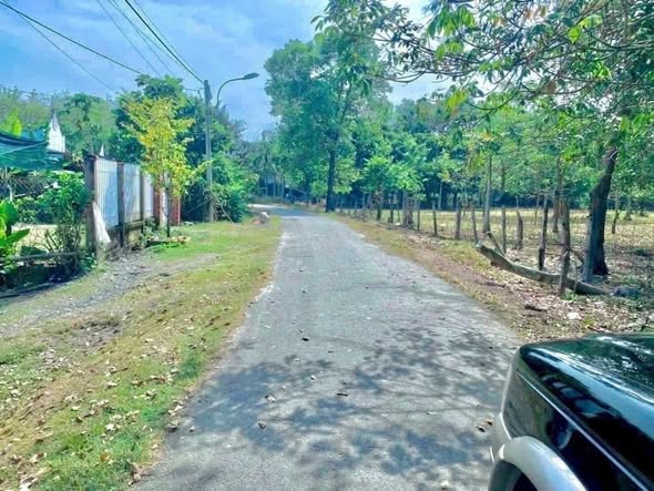 Đất Thái Mỹ, Củ Chi 929m² giá 2.5 tỷ - Đầu tư sinh lời ngay!