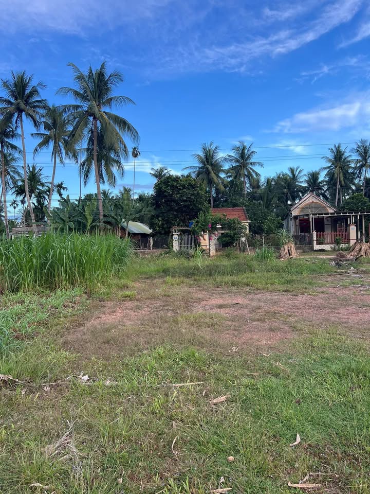 Đất mặt tiền Cao Thành 228m² giá chỉ 1 tỷ - Lựa chọn an cư lý tưởng!