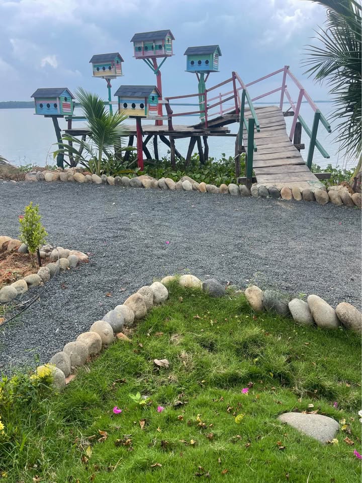 Đất thổ cư 100m² mặt tiền 65m tại Tân Hội, Tân Châu - Giá 1.35 tỷ VND!