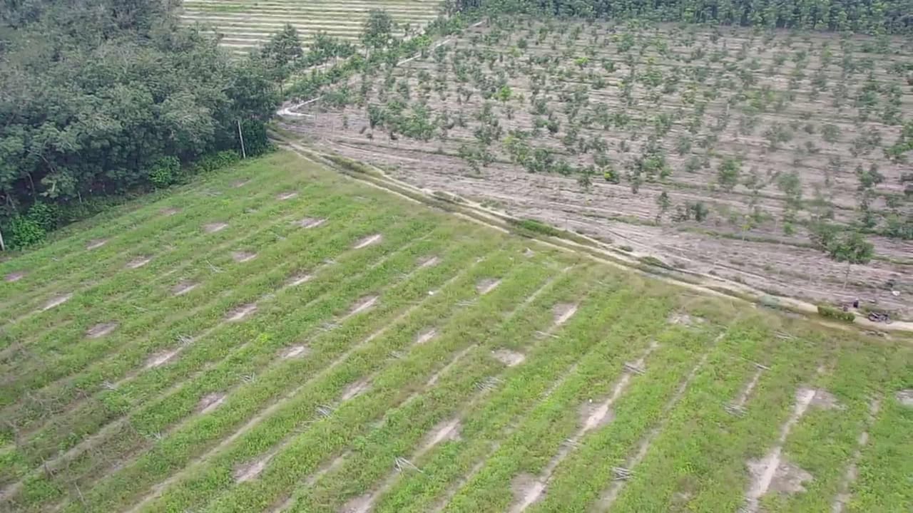 Đất nền khu phố 4, thị trấn Tân Châu 17000m² giá 3 tỷ - Mặt tiền đường rộng 100m!