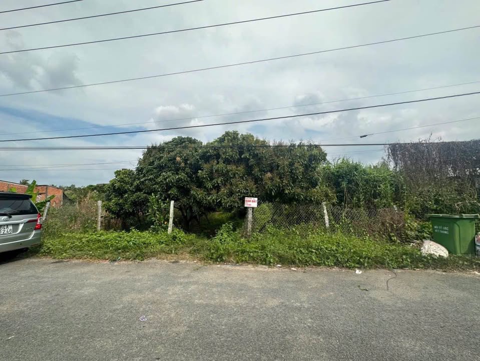 Đất nền mặt tiền Tân Hòa, Tân Phú - Vĩnh Long 165.8m² chỉ 850 triệu - Đầu tư sinh lời bền vững!