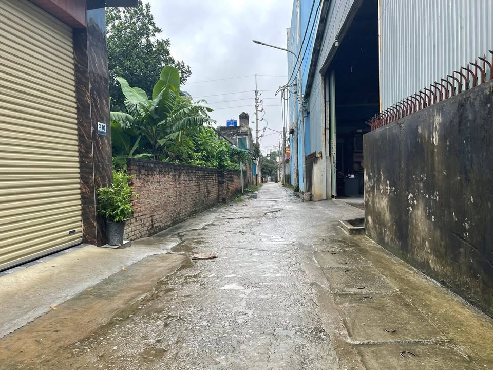 Đất nền 89m² tại khu phố Tân Phúc, Thạch Thất giá 1.8 tỷ - Đầu tư sinh lời ngay!