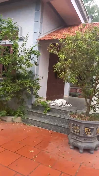 Đất 1284m² thổ cư 1057m² tại Đồi Vua, Sơn Đông - Giá chỉ 12.84 tỷ!