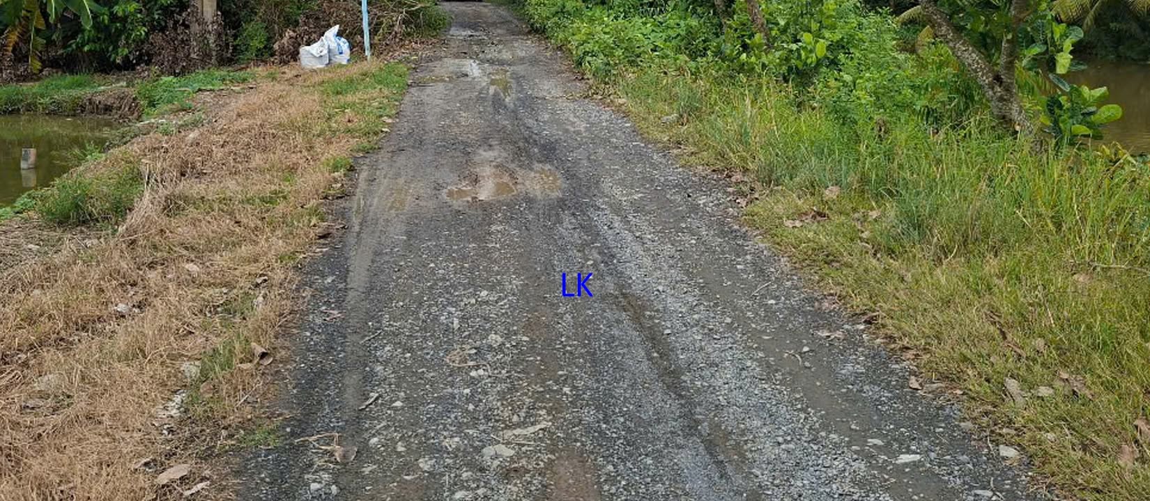 Bán đất lúa 31.000m² xã Láng Biển, Tháp Mười - Giá chỉ 6.2 tỷ VND