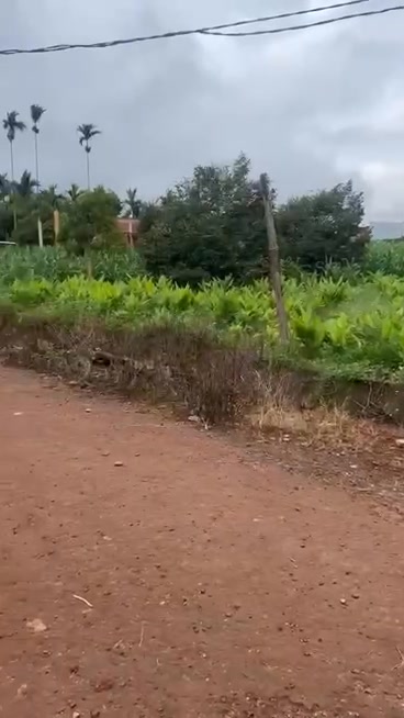 Đất thổ cư tại Phú Xuân, Krông Năng 924m² giá 743 triệu - Cơ hội đầu tư tuyệt vời!