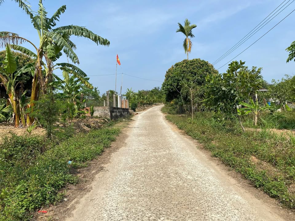 Đất nền 10m bám đường bê tông tại Phú Xuân, 570m² chỉ 249 triệu - Cơ hội đầu tư vàng!