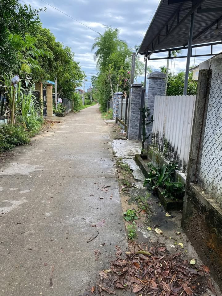 Đất nền Tam Phú, Tam Kỳ 200m² giá từ 600 triệu - Cơ hội đầu tư tuyệt vời!