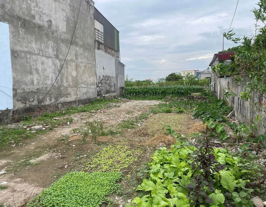 Đất nền Quỳnh Giao, Quỳnh Phụ, Thái Bình 90m² - Đối diện cụm công nghiệp, giá chỉ 1 tỷ!