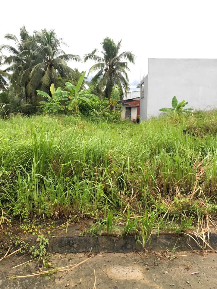 Đất nền chính chủ ấp Tân Tỉnh A, xã Tân Mỹ Chánh, giá thỏa thuận - Đầu tư sinh lời!