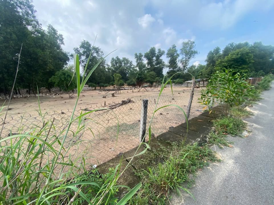 Đất cây lâu năm 8000m² tại Tam An, Long Điền - Gần biển, mặt tiền 21m!