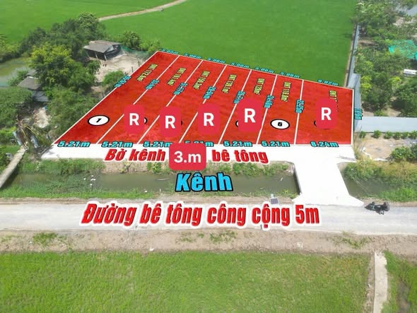 Đất nền Tân Trụ 116m² giá 460 triệu - Vị trí trung tâm thuận tiện!