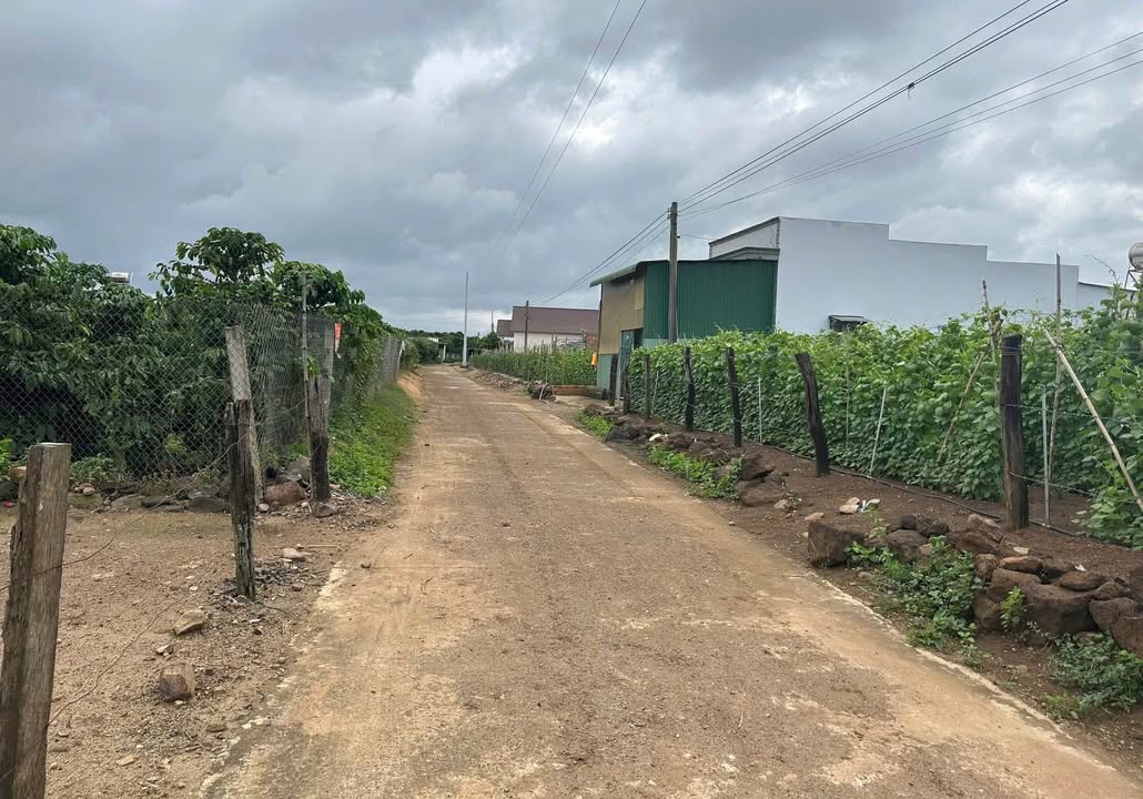 Đất nền Tân Hội, Đức Trọng 195m² giá 550 triệu - Cơ hội đầu tư hiếm có!