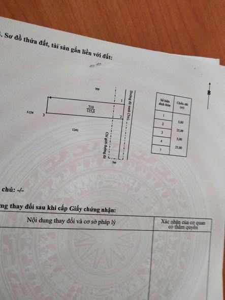 Đất thổ cư 125m² tại Bình Tiền 2, Đức Hòa - Giá 1.25 tỷ, vị trí đắc địa!