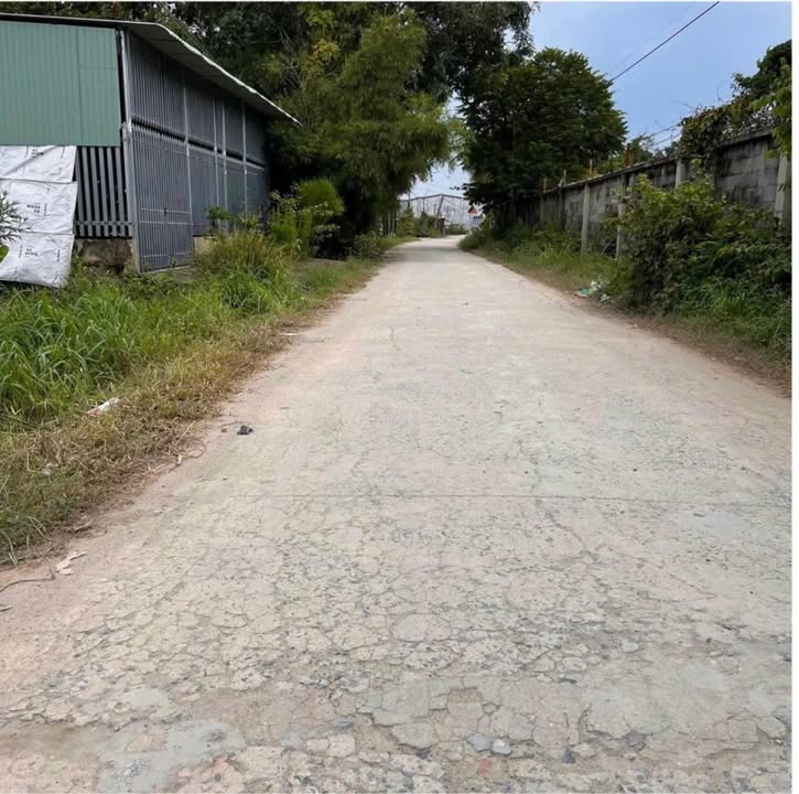 Nhà cấp 4 khu phố Trâm Vàng, Gò Dầu, 851m² - Cách bệnh viện Xuyên Á chỉ 100m!