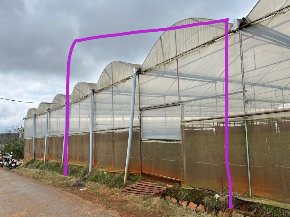 Đất nền Xuân Thọ Đà Lạt 500m² giá 3.1 tỷ - Nở hậu, sổ đỏ chính chủ!