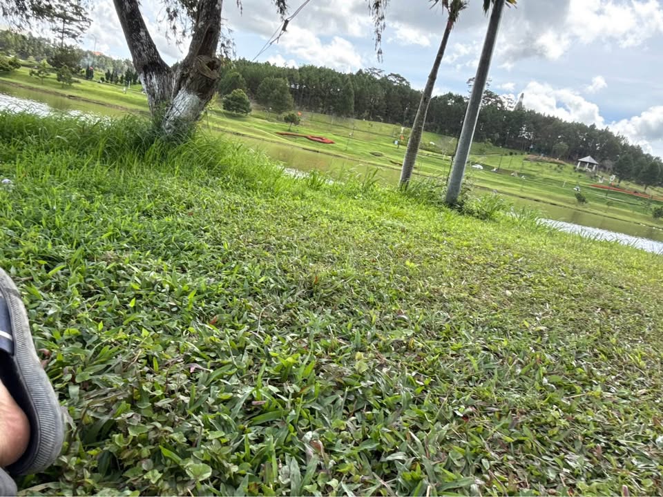 Đất nền Võ Trường Toản, Đà Lạt 60m² chỉ 699 triệu - Cơ hội vàng đầu tư!