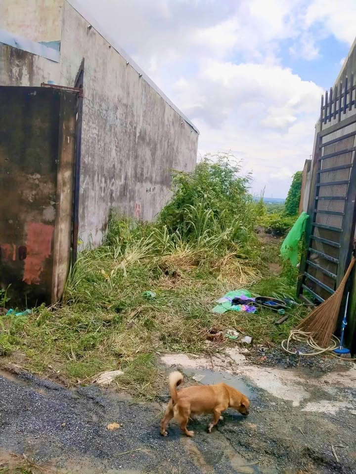 Đất nền KP4B, Trảng Dài, Biên Hòa 150m² giá 470 triệu - Cơ hội đầu tư sinh lời!