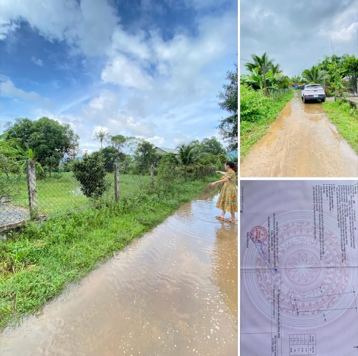 Đất nền Phong An Cát Trinh 565m² giá chỉ 8xx triệu - Cơ hội đầu tư tuyệt vời!