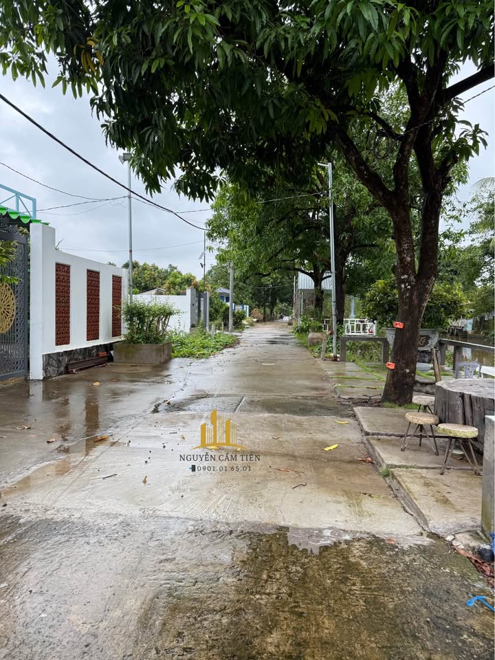 Đất nền Hòa Thuận, Cao Lãnh 964m² giá 2.2 tỷ - Khu vực xây dựng lý tưởng!