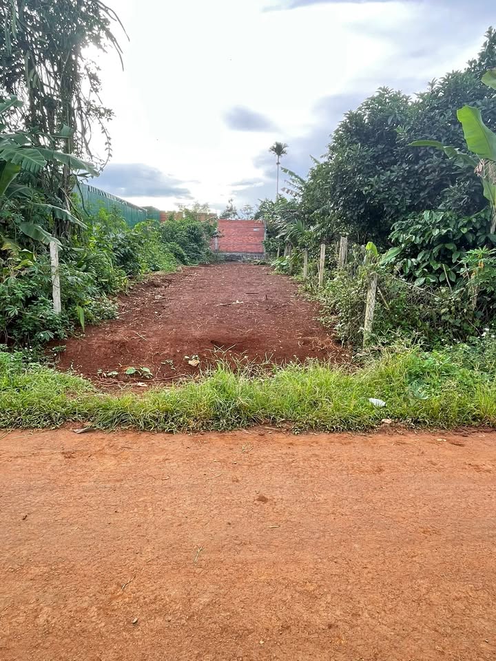 Đất thổ cư mặt tiền đường Y Thuyên Buôn Hồ 175m² giá 900 triệu - Đầu tư sinh lời hấp dẫn!