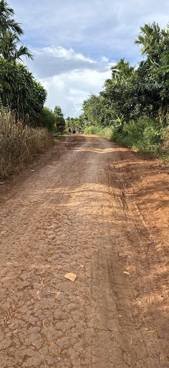 Bán gấp FrontHouse mặt tiền đường Mai Hắc Đế, 300m² giá 1.75 tỷ - Đầu tư sinh lời!