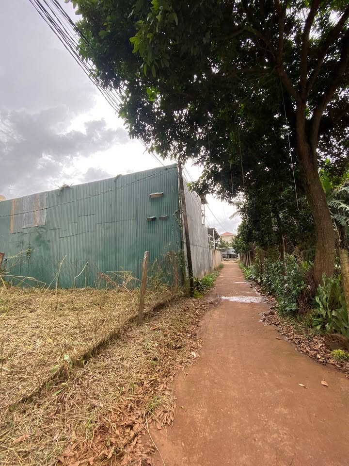 Đất nền An Lạc Buôn Hồ 130m² - Vị trí đắc địa gần bệnh viện