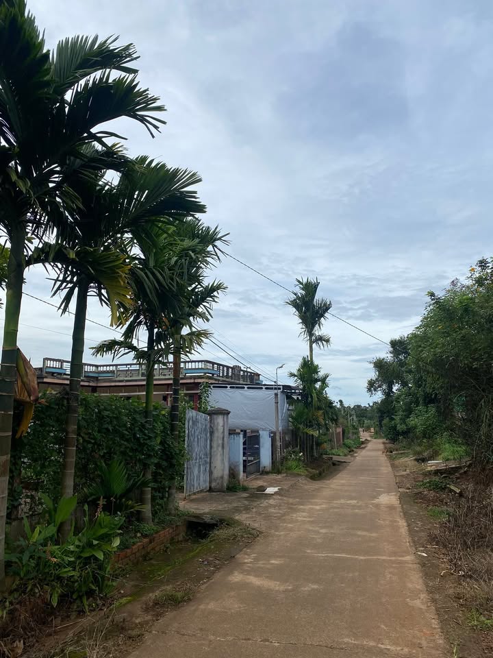 Đất nền mặt tiền đường Văn Tiến Dũng, Buôn Hồ 135.81m² giá 1.2 tỷ - Cơ hội đầu tư tuyệt vời!