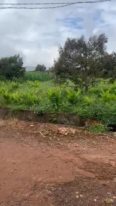 Đất nền Phú Xuân Krông Năng 924m² giá chỉ 861 triệu - Cơ hội đầu tư hấp dẫn!