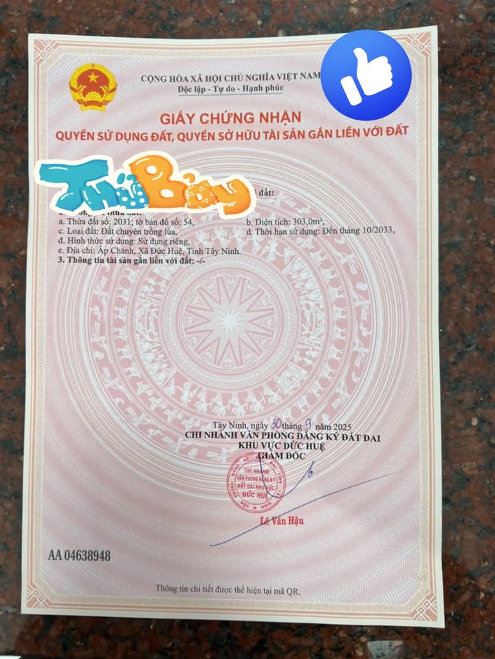 Đất thổ cư 300m² mặt tiền đường nhựa tại Bình Hòa Bắc - Giá tốt chỉ 690 triệu!