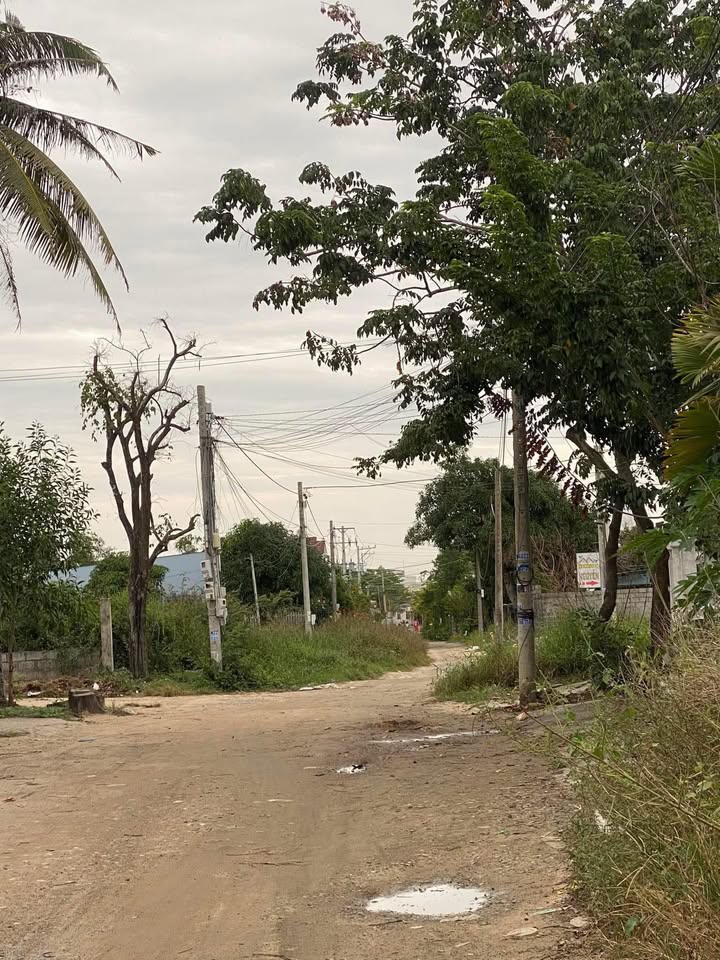 Đất thổ cư đường Thống Nhất, Phước Hội 174m² giá 1.4 tỷ - Tiềm năng phát triển lớn!