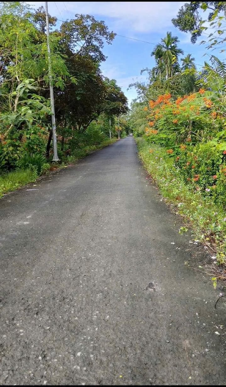 Đất nền ấp Thạnh Phú, xã Hỏa Lựu, 2511m² giá 340 triệu - Đầu tư sinh lời lý tưởng!