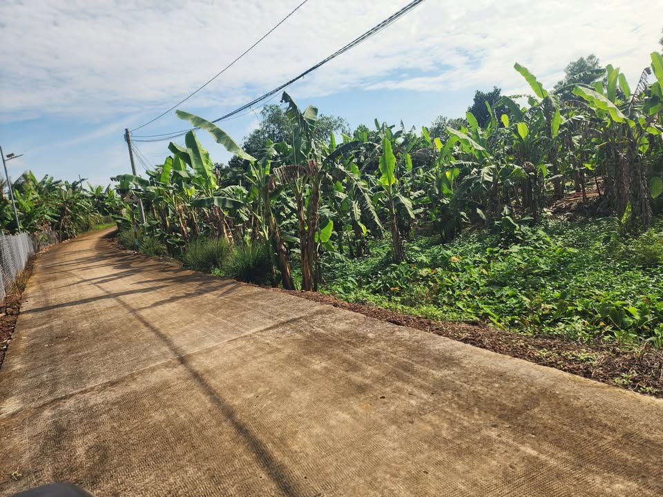 Đất nền 2.700m² tại xã Tân An, Vĩnh Cửu chỉ 2.85 tỷ - Đầu tư sinh lời bền vững!