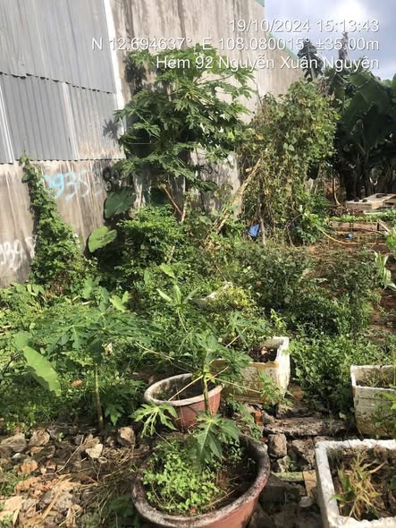 Đất Hẻm 92 Nguyễn Xuân Nguyên 50m² giá 2.1 tỷ - Cơ hội đầu tư tuyệt vời!