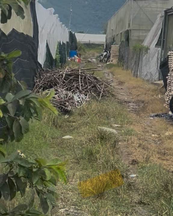 Đất 3,1 sào tại Lạc Xuân, Đơn Dương - Giá chỉ 1.718 tỷ, đầu tư sinh lời!