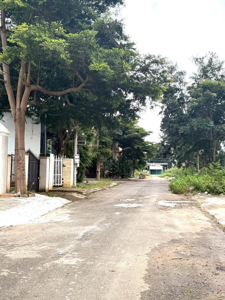 Đất nền Phú Hội - Đức Trọng 115m² giá 1.6 tỷ - Vị trí đắc địa, pháp lý rõ ràng!