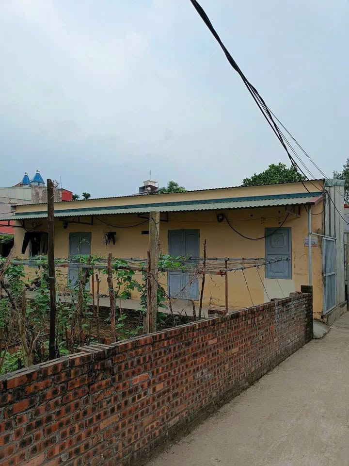 Đất nền Tứ Minh, TP Hải Dương 77m² giá chỉ 2.3 tỷ - Đầu tư sinh lời ngay!