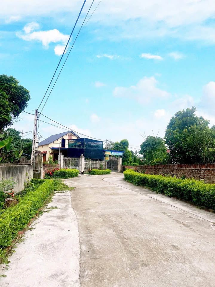 Đất nền Vạn Xuân Phổ Yên 156m² giá chỉ 1.25 tỷ - Đầu tư sinh lời ngay!