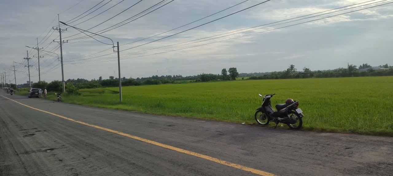 Đất Gò Công Tây 10.000m² giá 10 tỷ - Mặt tiền đường nhựa, cơ hội đầu tư hấp dẫn!