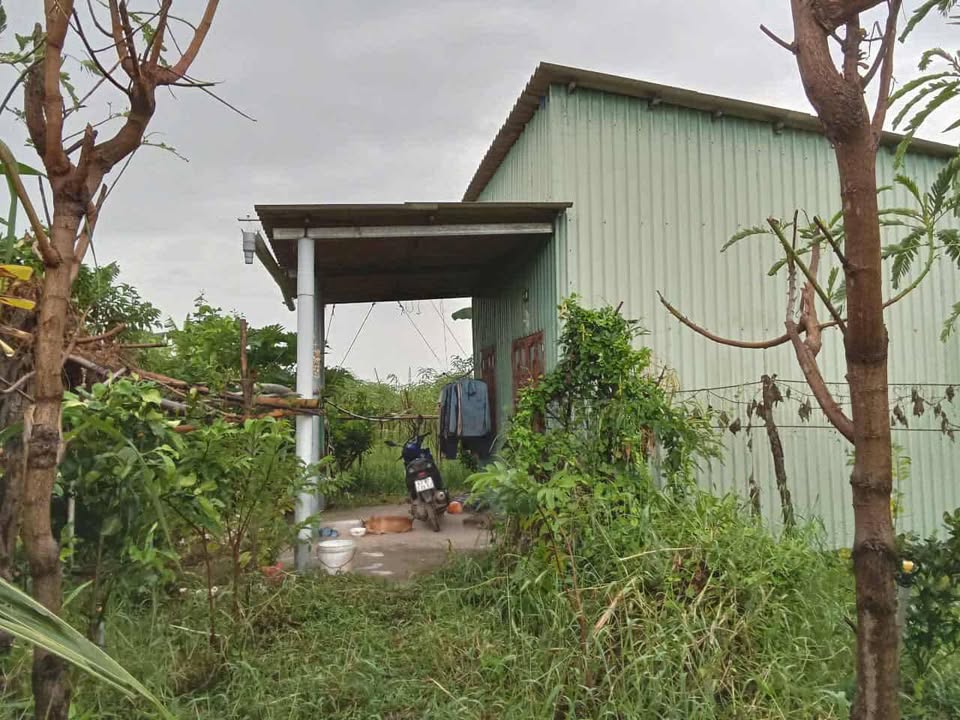 Đất nền cao ráo tại Tăng Hòa, Gò Công Đông, 668m² chỉ 450 triệu - Sổ hồng chính chủ!