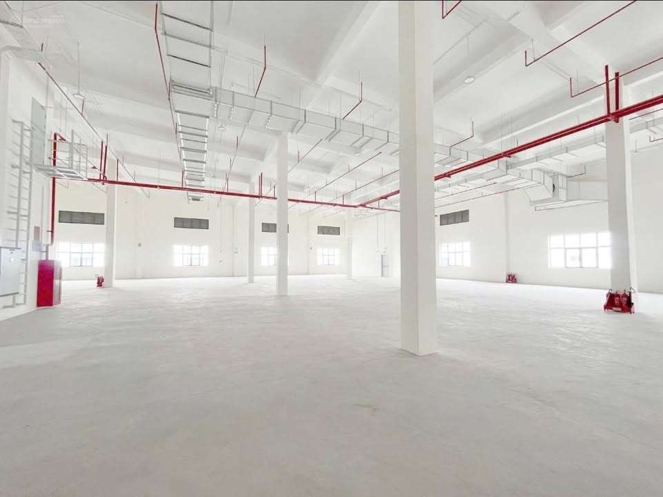 Kho cho thuê đường Âu Cơ, Q11, 260m² - Vị trí đắc địa gần vòng xoay