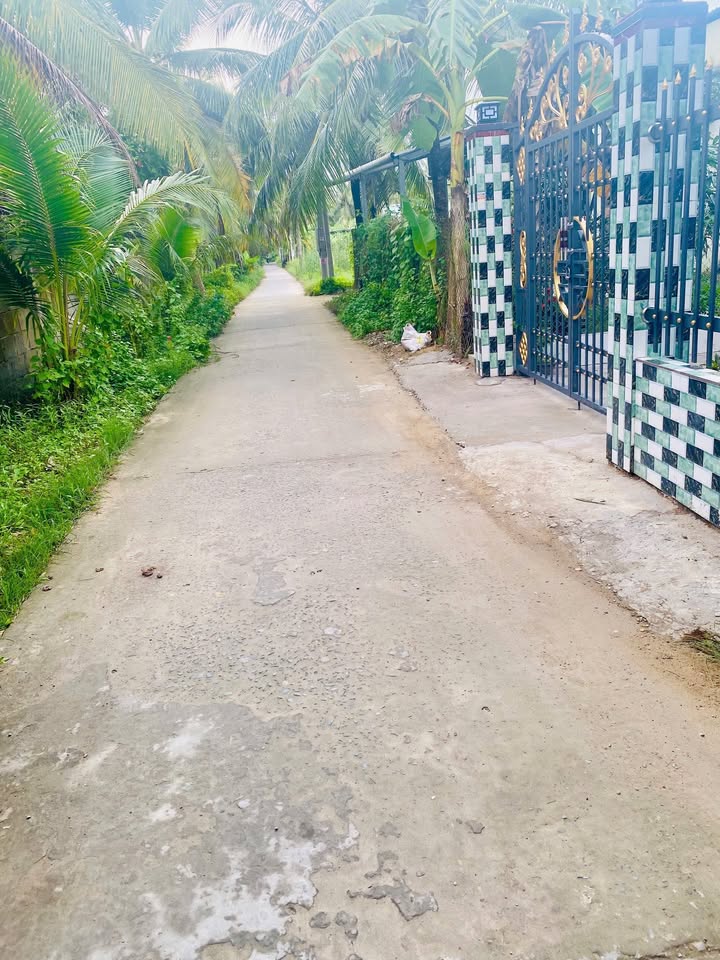 Đất thổ cư ấp Thủ Sở, Mỏ Cày Bắc 3625m² giá 5.4 tỷ - Tiềm năng sinh lời cao!