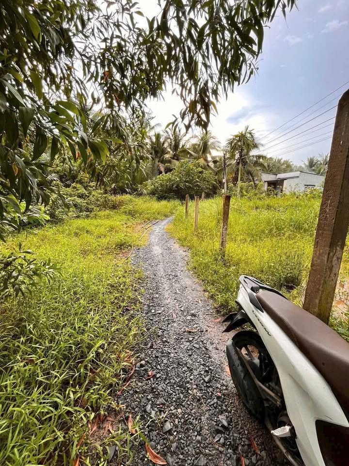 Đất thổ cư 150m² tại Đa Phước Hội, Mỏ Cày Nam - Giá 500 triệu - Cơ hội đầu tư tốt!