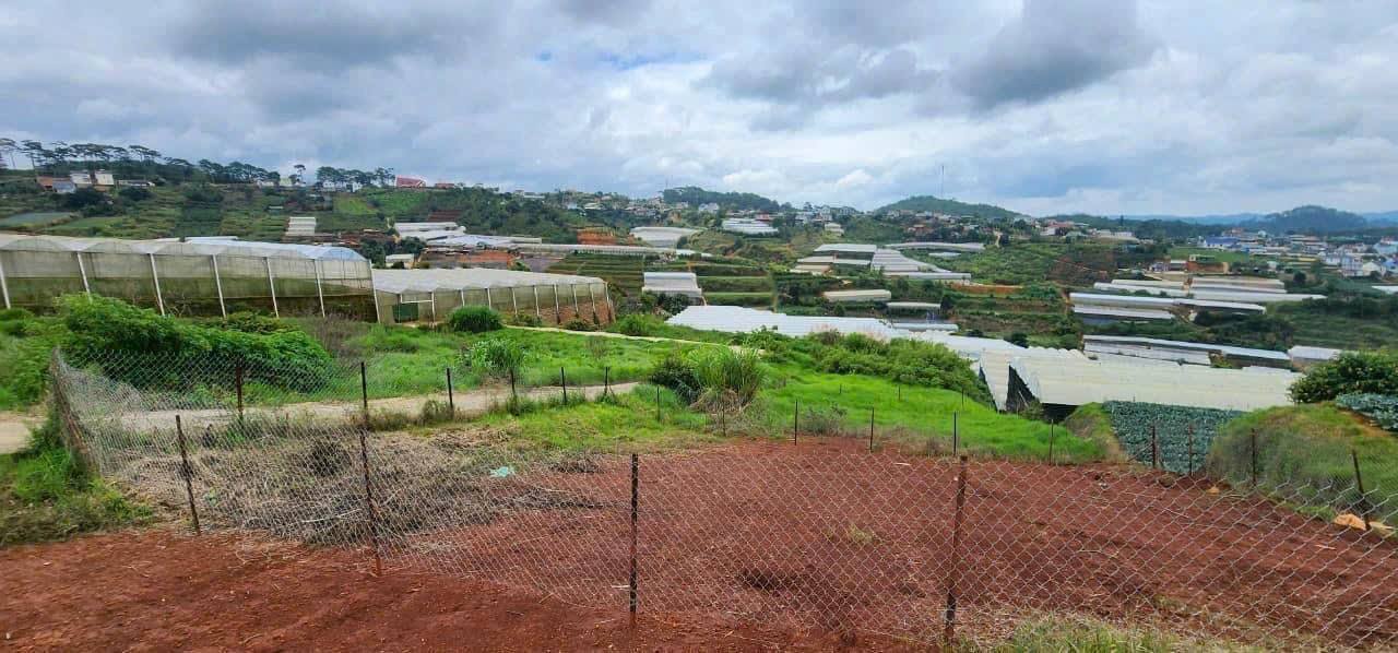 Đất nền Xuân Thọ Đà Lạt 633m² giá 7.5 tỷ - Cơ hội đầu tư hiếm có!