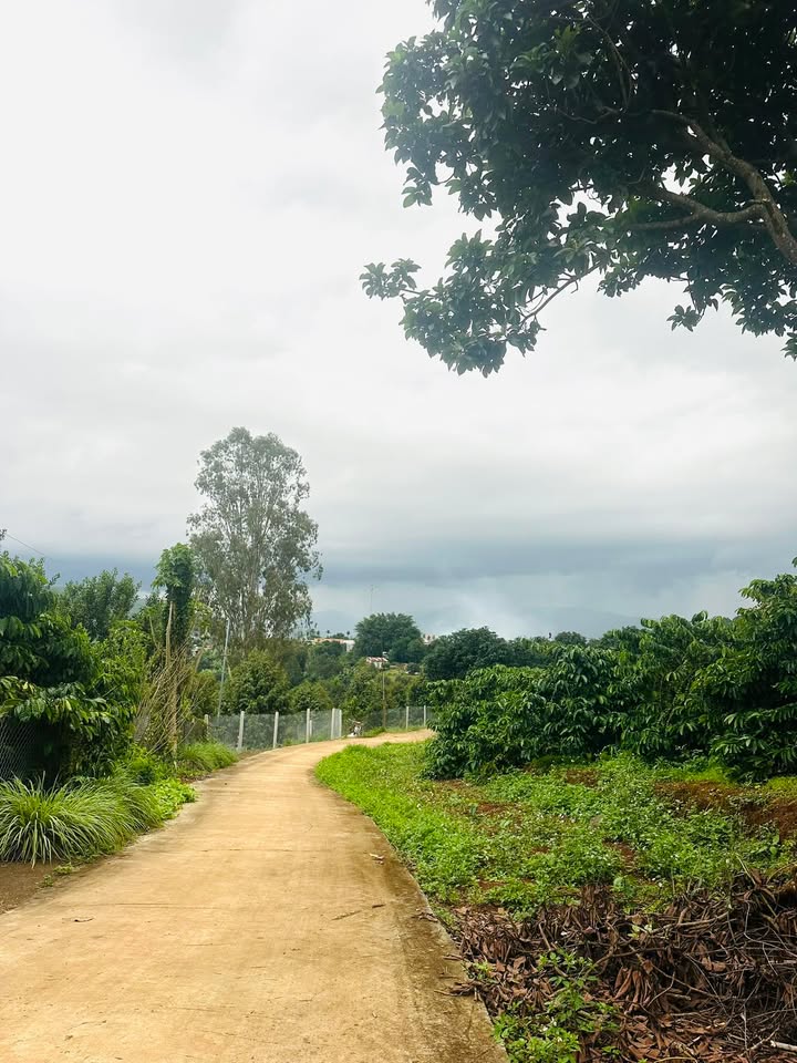 Đất nền Nam Ban Lâm Hà 1125m² giá 4 tỷ - Cơ hội đầu tư tuyệt vời!