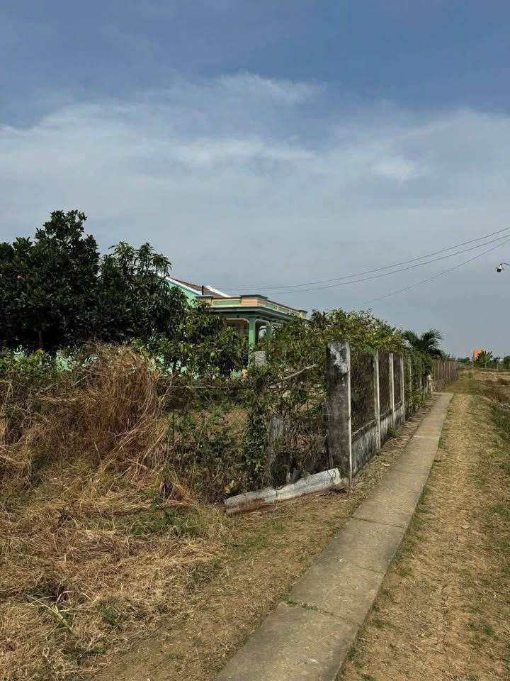 Đất thổ cư và vườn xã Long Hựu Tây, huyện Cần Đước 423m² giá 850 triệu - Chính chủ bán ngay!