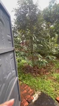 Nhà cấp 4 tại phường Đạt Hiếu, Buôn Hồ 240m² giá 2.3 tỷ - Nhà đẹp, sân vườn rộng rãi!