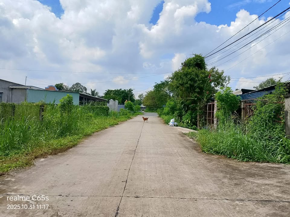 Lô đất 2 mặt tiền đường bê tông tại xã Trung Lập Thượng, Củ Chi 1000m² - Đầu tư sinh lời ngay!