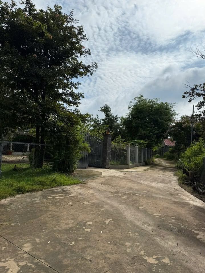 Đất nền Lộc Hưng, Lộc Ninh 360m² giá chỉ 299 triệu - Cách Quốc lộ 13 chỉ 300m!