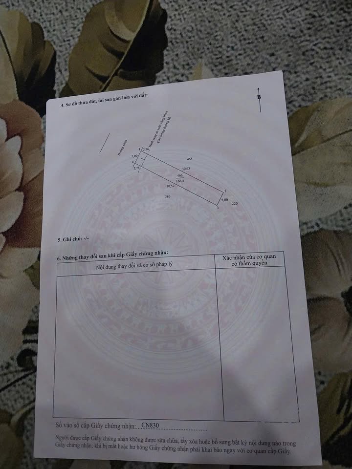 Đất nền thổ cư Tân Hưng Bình Tân 165m² - Gần chợ, trường học!