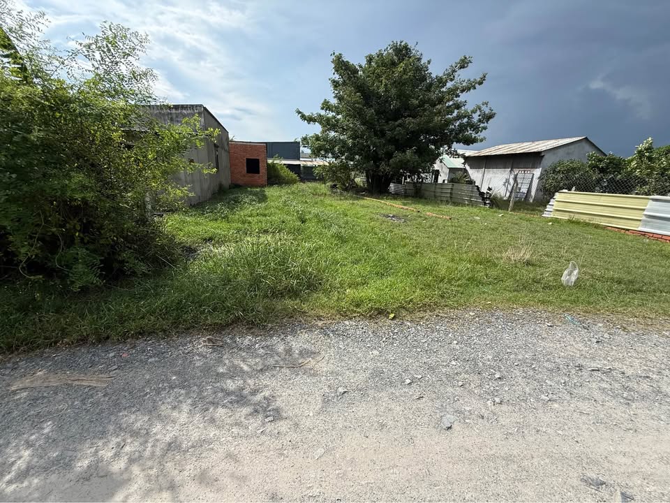 Đất nền Mỹ Hạnh Nam 155m² giá chỉ 780 triệu - Cơ hội đầu tư tuyệt vời!